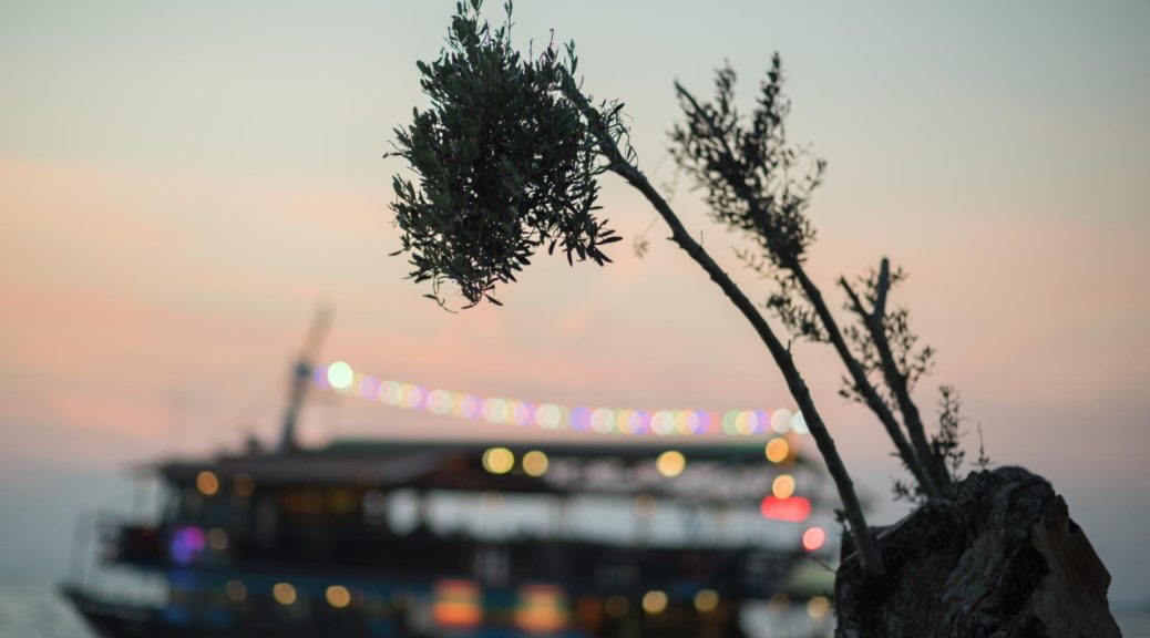 Les croisières de Noël : célébrer les fêtes de fin d’année en mer