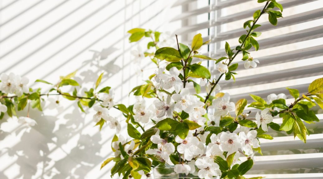 Stores sur mesure : la solution idéale pour habiller vos fenêtres PVC