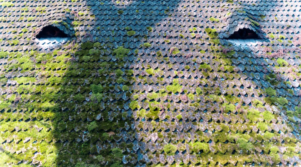 Le démoussage de toiture : à prévoir à quelle fréquence pour une couverture durable ?
