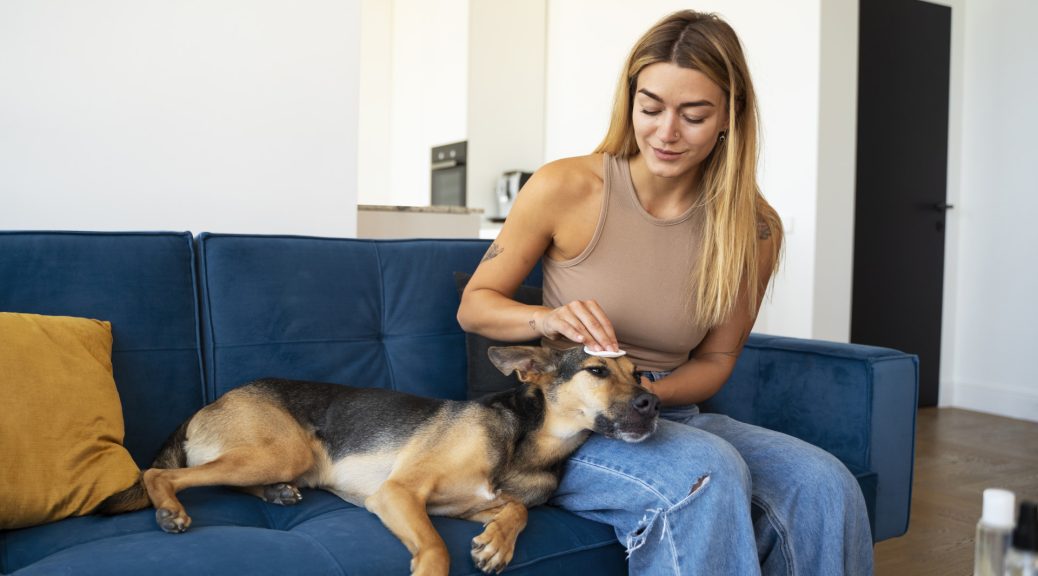 Réduire le stress de son animal pendant les absences grâce à la garde à domicile